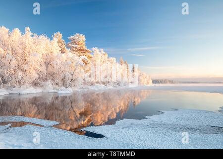 Snow-covered trees reflected in a semi-frozen lake, Pallas-Yllastunturi National Park, Muonio, Lapland, Finland Stock Photo