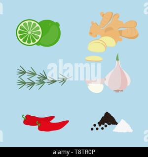 Vegetables for seasoning. Herbs and vegetables used in cooking to season food. Lime, ginger, rosemary branch, garlic, red pepper, black pepper and sal Stock Vector