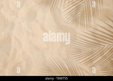 Selective focus of summer and holiday  backgrounds concepts with shadow of coconut leaf on clean sand beach.copy space Stock Photo