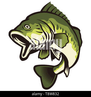 largemouth  bass fish green color nature catch illustration Stock Photo