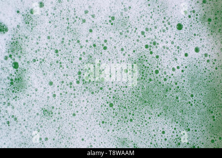 Full frame image of a bubbles or foamy soapy water for background. Concept of abstract and hygiene Stock Photo