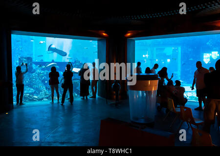 Dubai, UAE - November 29, 2018: Tropical fish inside Lost Chambers aquarium at Atlantis Hotel on Palm Jumeirah. Stock Photo