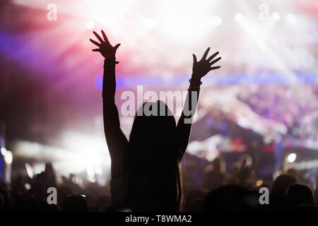 Picture of party people at music festival Stock Photo