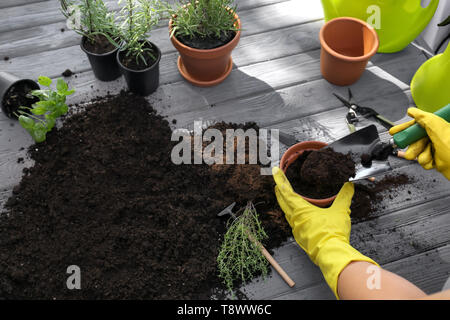 filling pot with compost Stock Photo - Alamy