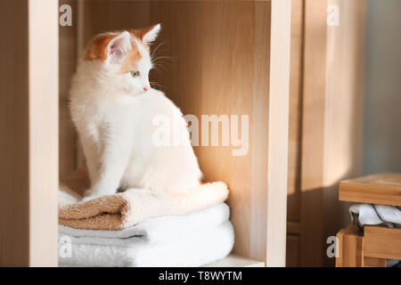 Cute little kitten sitting on stack of towels Stock Photo