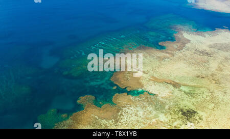 Texture of the seabed with coral reefs aerial view.Clear sea water in shallow water. Stock Photo