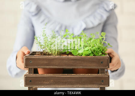 Woman holding crate with fresh aromatic herbs in pots, closeup Stock Photo