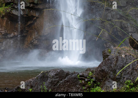 Lone Creek Falls, dramatic waterfalls in forested area in the Blyde River Canyon, Panorama Route between Graskop and Sabie, Mpumalanga, South Africa. Stock Photo