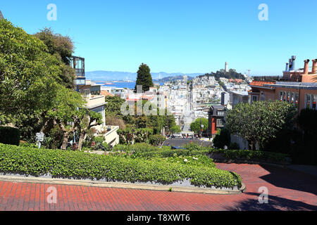 San Francisco: Looking down the famously crooked Lombard Street towards Telegraph hill. Stock Photo