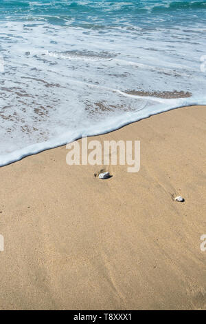 Incoming tide gently covering the sand on Fistral beach in Newquay in Cornwall. Stock Photo