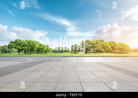 Empty square floor and green forest natural landscape Stock Photo