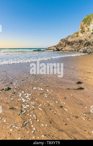 Evening light on Great Western Beach in Newquay in Cornwall. Stock Photo