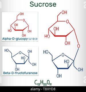 Sucrose sugar molecule. Structural chemical formula and molecule model. Vector illustration Stock Vector