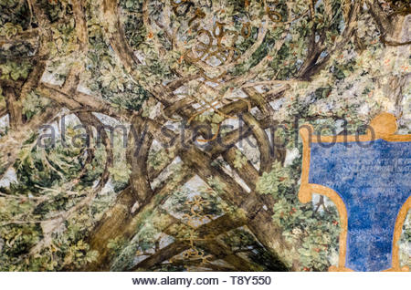 Frescos On Ceiling And Preparatory Drawings Made By Leonardo Da