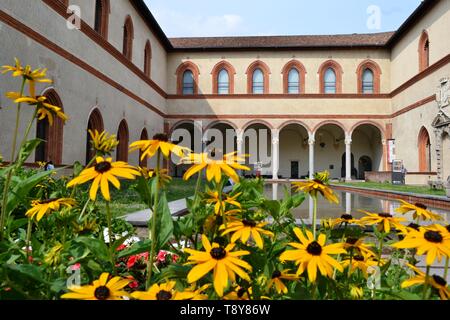 Milan/Italy - June 1, 2015: Ducal Court decorated with yellow Black-eyed Susan flowers and with internal ancient medieval arcades, water pool. Stock Photo