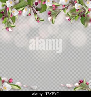 Set of realistic flowering branches, apple tree Stock Vector