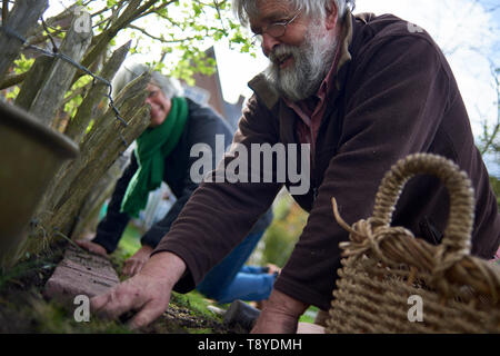 Happy and healthy elderly couple hard at work gardening in their back yard in spring sunshine Stock Photo