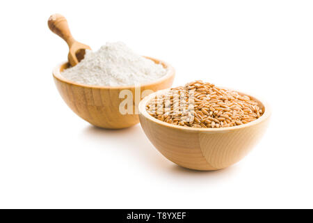 Wheat grains and whole grain wheat flour isolated on white background. Stock Photo