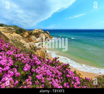 Summer blossoming Atlantic rocky coast view with purple flowers and narrow sandy beach, Albufeira outskirts, Algarve, Portugal. Stock Photo