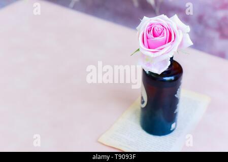 Beautiful Pink Rose in Glass Bottle Stock Photo