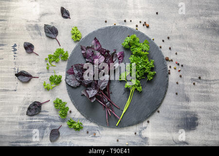 Slate plate with fresh aromatic herbs and spices on grey table Stock Photo