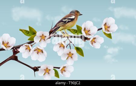 Bird on cherry flowers branches Vector realistic. Spring blossom. Holiday card Stock Vector