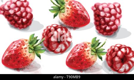 Raspberry and strawberry Vector watercolor. Juicy banner summer poster Stock Vector