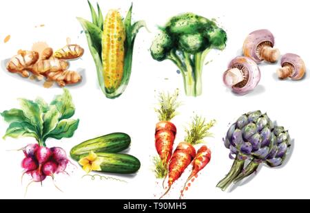Vegetables watercolor Vector set collection. Mushrooms, corn, radish and artichoke Stock Vector