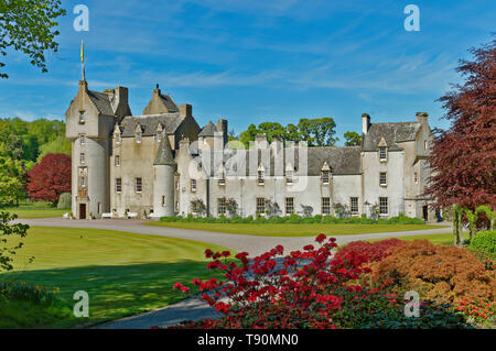 BALLINDALLOCH CASTLE BANFFSHIRE SCOTLAND THE  GARDENS WITH COLOURFUL AZALEAS AND ACER TREES Stock Photo