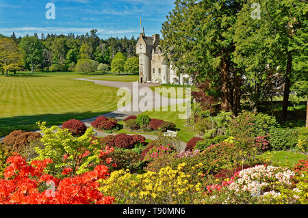 BALLINDALLOCH CASTLE BANFFSHIRE SCOTLAND THE  GARDENS WITH COLOURFUL AZALEAS AND MANY RHODODENDRONS Stock Photo