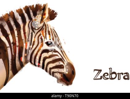 Zebra isolated on white background Vector watercolor. wildlife safari animal Stock Vector