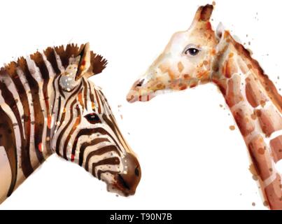 zebra and giraffe Vector watercolor. wildlife safari animal Stock Vector