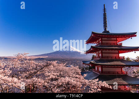 Mount Fuji view from Arakurayama Sengen Park Stock Photo