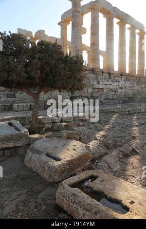The Poseidon Temple with an olive tree at Cape Sounion Stock Photo - Alamy