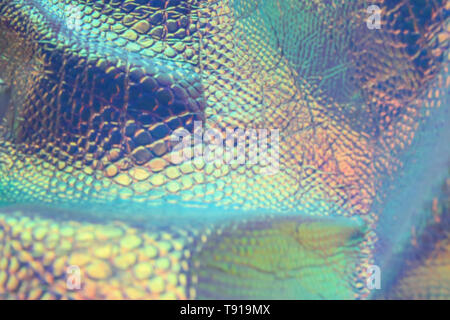 Abstract trendy holographic snake background with neon colors. Backdrop for your design. Stock Photo