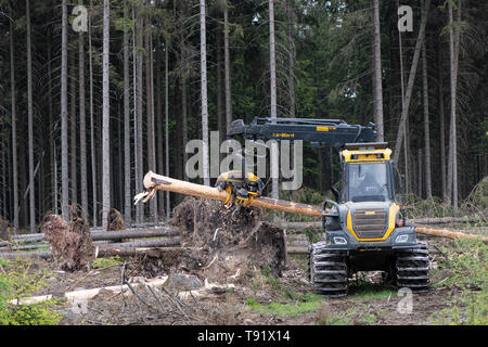 Sankt Ottilien, Germany. 16th May, 2019. A harvester (wood harvester) debarks a spruce trunk on a forest area in the Söhrewald that is severely affected by the windthrow. After the drought of 2018, trees are weakened and susceptible to bark beetle infestation. Credit: Swen Pförtner/dpa/Alamy Live News Stock Photo