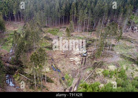 Sankt Ottilien, Germany. 16th May, 2019. A photograph of a forest area in the Söhrewald, which was severely affected by the windthrow and on which a harvester is in use (aerial photograph with a drone). After the drought of 2018, trees are weakened and susceptible to bark beetle infestation. Credit: Swen Pförtner/dpa/Alamy Live News Stock Photo