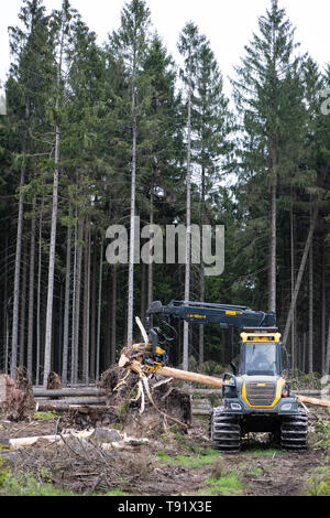 Sankt Ottilien, Germany. 16th May, 2019. A harvester (wood harvester) debarks a spruce trunk on a forest area in the Söhrewald that is severely affected by the windthrow. After the drought of 2018, trees are weakened and susceptible to bark beetle infestation. Credit: Swen Pförtner/dpa/Alamy Live News Stock Photo