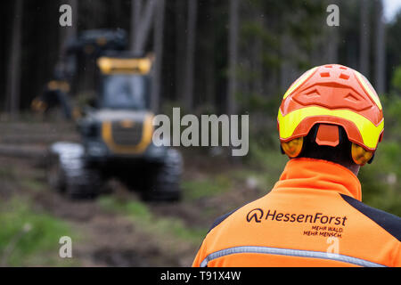 Sankt Ottilien, Germany. 16th May, 2019. An employee of HessenForst is standing in front of a harvester (wood harvester) on an area of forest in the Söhrewald that has been severely affected by the windthrow. After the drought of 2018, trees are weakened and susceptible to bark beetle infestation. Credit: Swen Pförtner/dpa/Alamy Live News Stock Photo