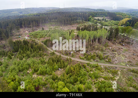 Sankt Ottilien, Germany. 16th May, 2019. Photograph of an area of forest in the Söhrewald forest severely affected by the windthrow (aerial photograph with a drone). After the drought of 2018, trees are weakened and susceptible to bark beetle infestation. Credit: Swen Pförtner/dpa/Alamy Live News Stock Photo