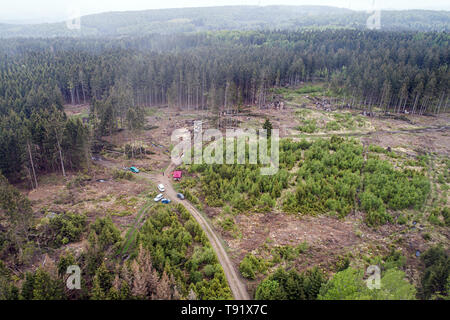 Sankt Ottilien, Germany. 16th May, 2019. Photograph of an area of forest in the Söhrewald forest severely affected by the windthrow (aerial photograph with a drone). After the drought of 2018, trees are weakened and susceptible to bark beetle infestation. Credit: Swen Pförtner/dpa/Alamy Live News Stock Photo