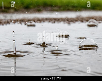 Berlin, Germany. 16th May, 2019. Raindrops fall into a puddle and create artistic shapes through the impact. Credit: Paul Zinken/dpa/Alamy Live News Stock Photo