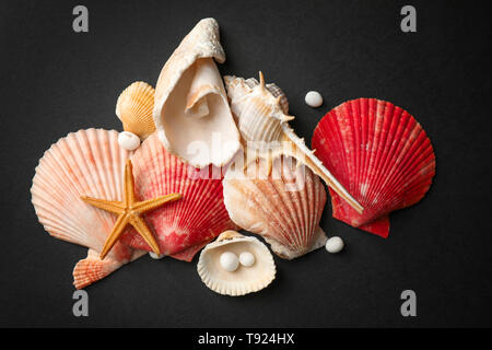 Set of different sea shells and starfish on dark background Stock Photo