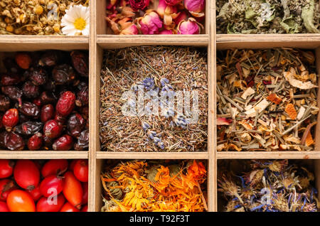 Various dried flowers with herbs and rose hips in wooden box, top view Stock Photo