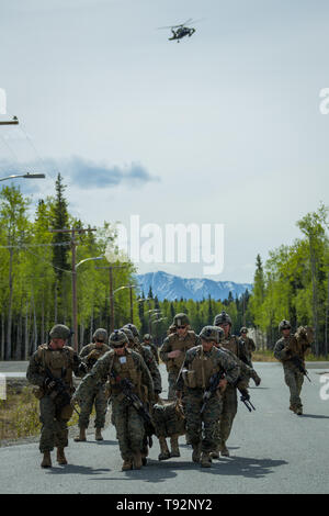 U.S. Marines with Echo Company, 2nd Battalion, 7th Marines, Special Purpose Marine Air Ground Task Force 7, simulate a medical evacuation during exercise Northern Edge (NE), May 14, 2019 at Fort Greely, Alaska. Approximately 10,000 U.S. military personnel will participate in exercise NE 2019, a joint training exercise hosted by U.S. Pacific Air Forces that prepares joint forces to respond to crises in the Indo-Pacific region. (U.S. Marine Corps photo by Staff Sgt. Gabriela Garcia) Stock Photo