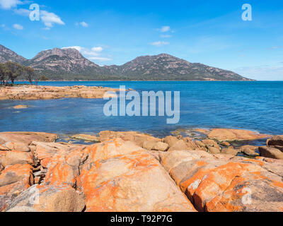 Orange lichen on rocks at Coles Bay, adjacent to Freycinet National Park in Tasmania, Australia. Stock Photo