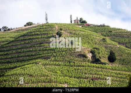 Hermitage vineyard at Tain l'Hermitage, Rhone valley, France Stock ...