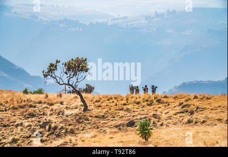 Local scouts walking throug fantastic landscape in the Simien mountains Stock Photo