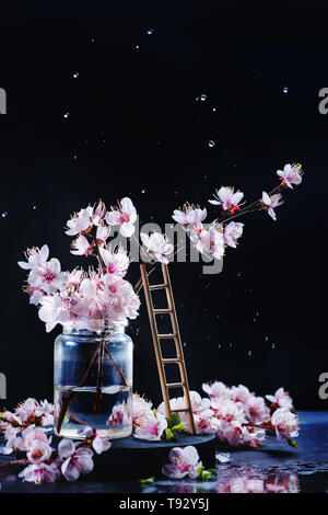 Tiny world concept. Dark still life with cherry blossom and a wooden ladder on a black background with copy space Stock Photo