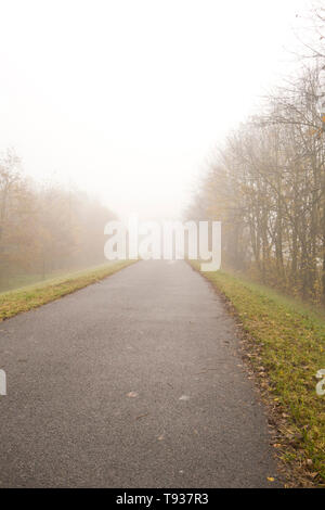 road flanked by trees in a foggy autumn morning Stock Photo - Alamy